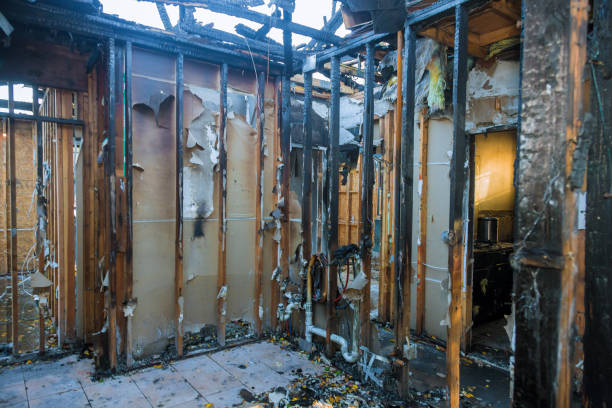 Professional Fire Damage Removal technician working in Mulberry, OH